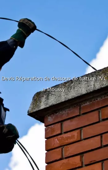 Devis Réparation de dessous de toiture PVC a Moussy