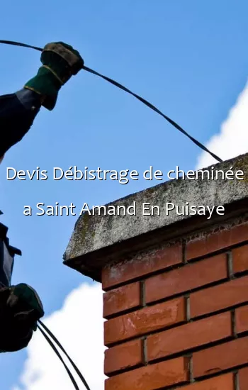 Devis Débistrage de cheminée a Saint Amand En Puisaye