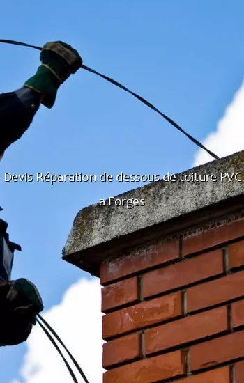 Devis Réparation de dessous de toiture PVC a Forges